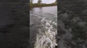 лодочный бесщеточный электромотор с Алиэкспресс от аккумулятора 24v