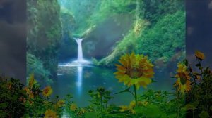 Оздоровление костей и суставов. Настрой Г.Н.Сытина