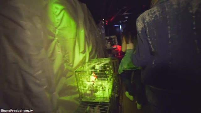 NEW Feast Maze at Queen Mary's Dark Harbor смотреть онлайн