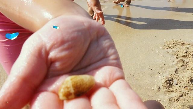 Дети на пляже играют, собирают камни и варят суп ? Отдых на море Эмили Фэмили 2019