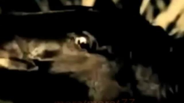 Последний бал смотреть онлайн