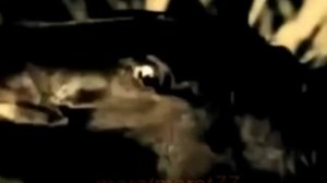 Последний бал