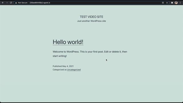 ローカル環境でWordPressを構築できるLocalの使い方【完全無料】 смотреть онлайн