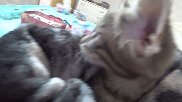 ДЕНЬ ВТОРОЙ. БОЙКОТ.