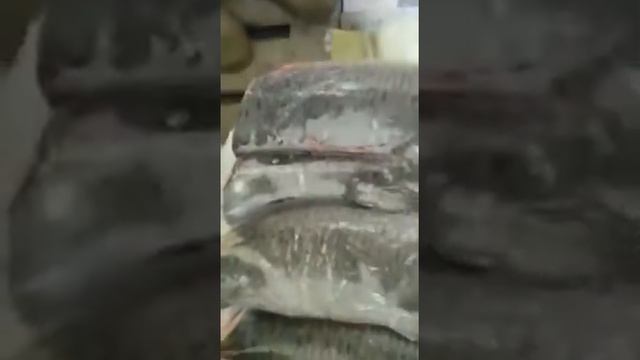 Рыба Свежемороженая Горбуша смотреть онлайн