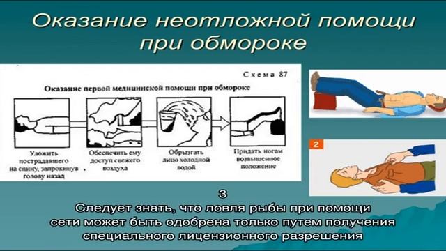 Какую рыбу нельзя ловить в России смотреть онлайн