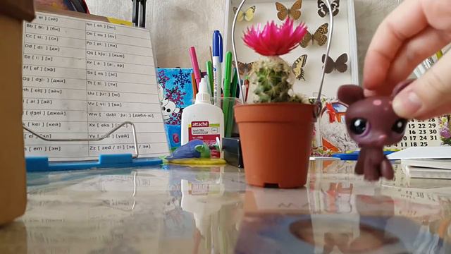 Новое растение -кактус смотреть онлайн