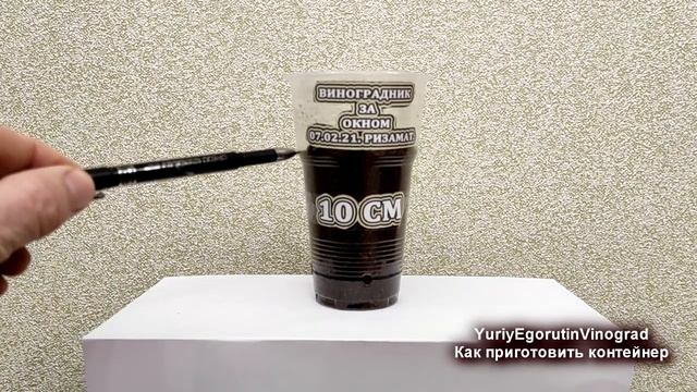 ? В этом контейнере - стакане черенки винограда мощно обрастают корнями за 2 недели. Готовим дренаж смотреть онлайн