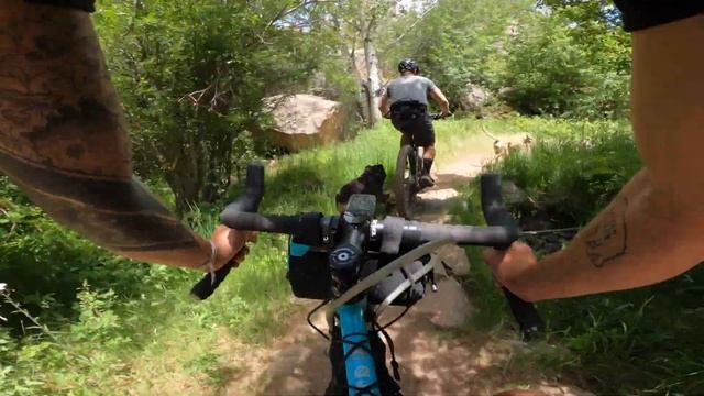 The Little Dropper That COULD! PNW Pine Long Term Review смотреть онлайн