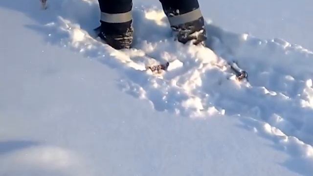 НЕКУДА СПЕШИТЬ_Чем горожане занимались зимой в Самаре смотреть онлайн