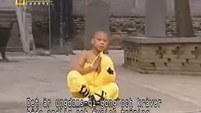 Wushu in SHAOLIN смотреть онлайн