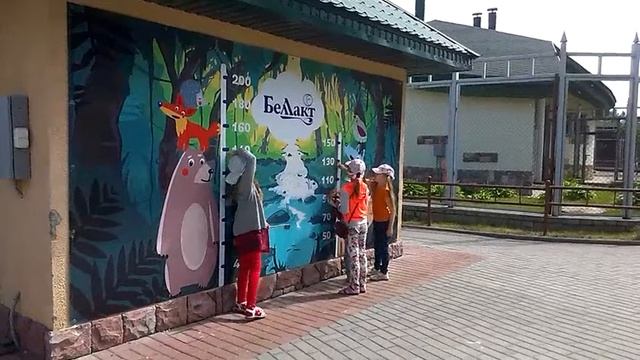 Индейский праздник в Гродненском зоопарке смотреть онлайн