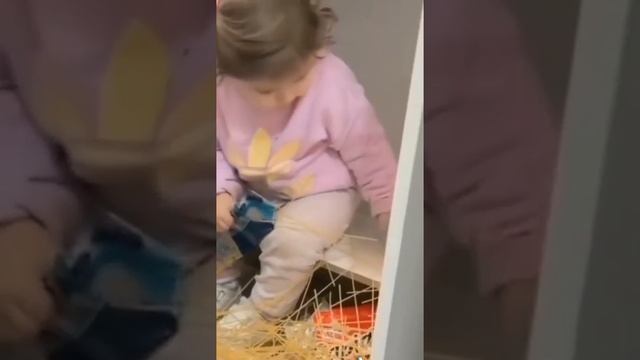 Юмор. Дети познают мир. смотреть онлайн