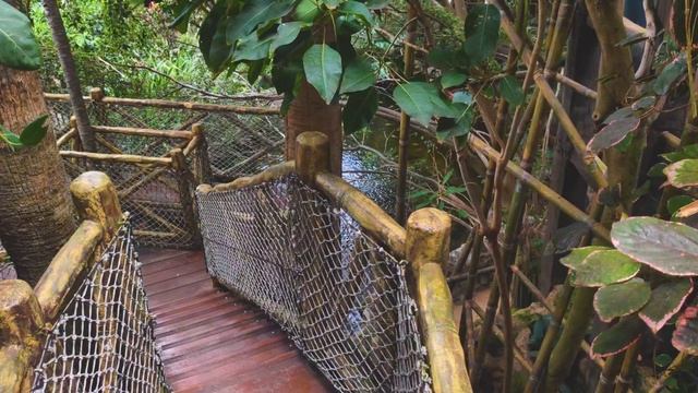 My visit to Zoo Loro Park Puerto de la Cruz (Tenerife) 4k смотреть онлайн