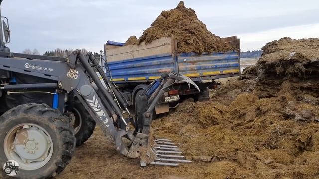 МТЗ 82, МТЗ 1221, Ловол 1304, Газоны, на погрузке и транспортировке силоса. Зимние будни в колхозе. смотреть онлайн