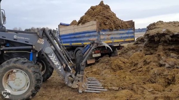 МТЗ 82, МТЗ 1221, Ловол 1304, Газоны, на погрузке и транспортировке силоса. Зимние будни в колхозе.