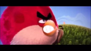Angry Birds 3D Animation Test | Squeeze Studio Animation