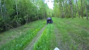 Багги КТА К7 тест проходимости. 30 км по лесной дороге. Настоящее испытание.