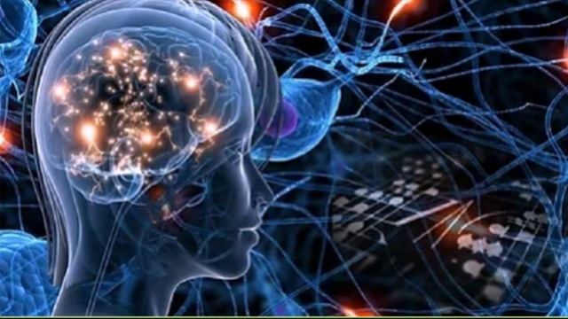 Главная мишень ядов, о которой вы не знали смотреть онлайн