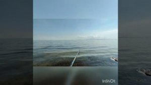 Рыбалка  бомбардой на кефаль ( сбирулино).