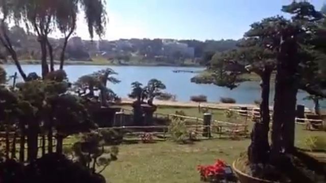Da Lat. Vietnam. В Далат. Вьетнам. смотреть онлайн