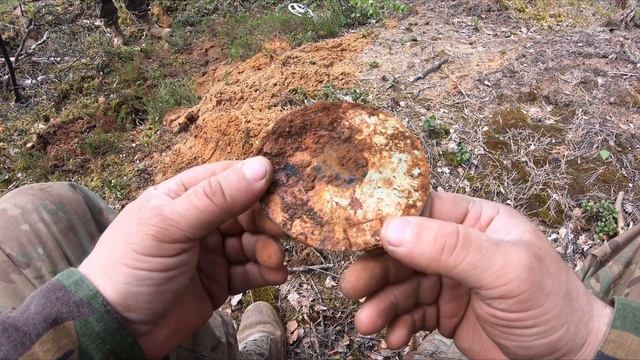 Поиск артефактов на выбитых местах с Minelab Equinox 800 - Xp Deus / 2022 года! смотреть онлайн