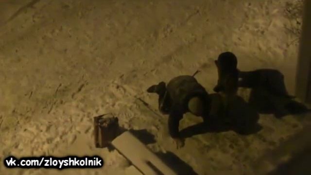 Собака выгуливает хозяина смотреть онлайн