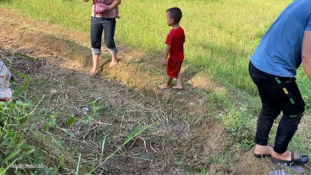 Adding kitchen railings, planting peanuts at the farm Animal Care | Family Farm Life смотреть онлайн