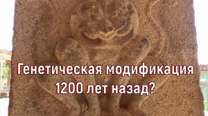 Генетическая модификация 1200 лет назад [№ B-089.22.07.2022.]