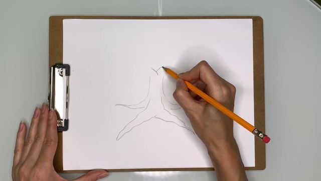 Уроки рисования с нуля | 25 урок по рисованию ( часть 1) смотреть онлайн