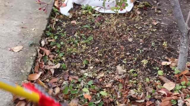 Обзор веерных граблей Hi-End Offner от Марины Рыкалиной смотреть онлайн