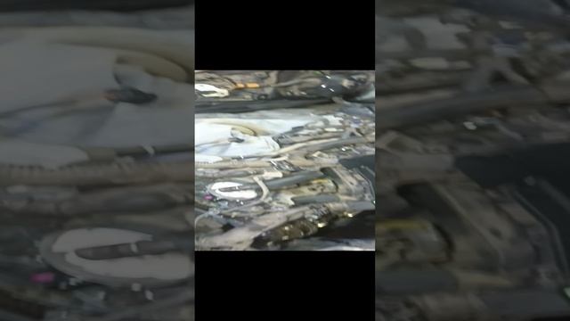 замена левого гидронатяжителя LEXUS LS 460L Awd.