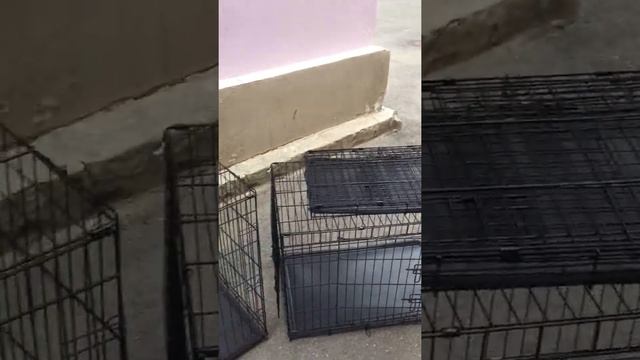 КЛЕТКИ-СПБ.РФ / Клетки для собак в СПБ, Доставка по всей России смотреть онлайн