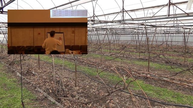 Удобрение виноградников. (проморолик) смотреть онлайн