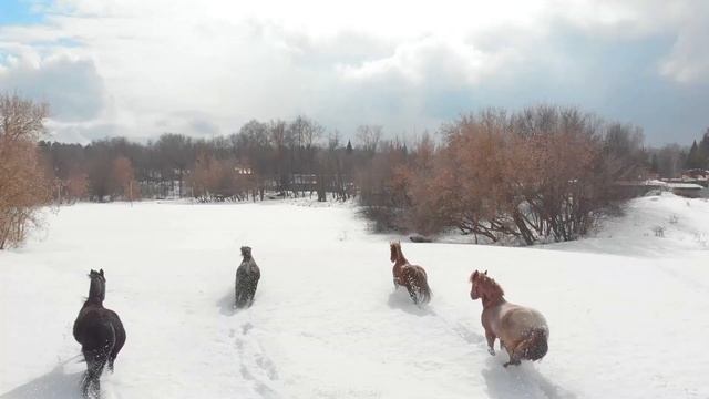 Прекрасные мелодии до слёз...Я заплакала, когда услышала эту песню! Волшебная музыка зимы смотреть онлайн
