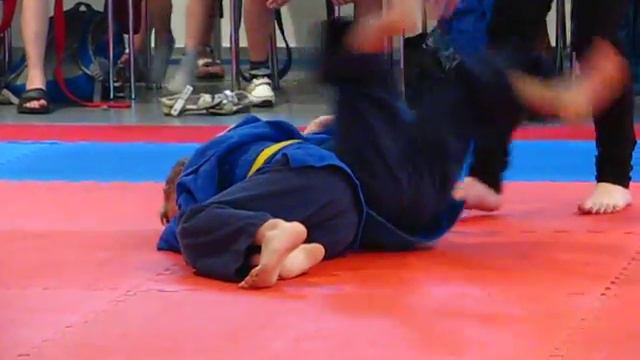 ХОРТИНГ. Чемпионат северного региона Украины. 18-19 мая 2013 года смотреть онлайн