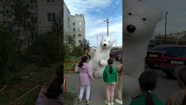 Мишка Мэт приехал поздравить с днем рождения 🎂 смотреть онлайн