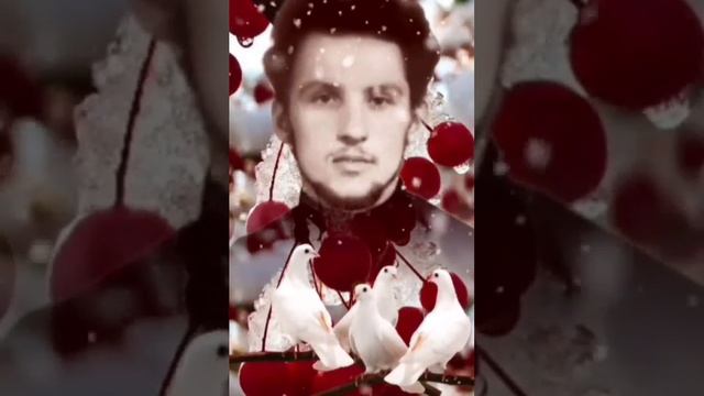 Исцеление Почаевского духовника на могилке новомученика Петра Боярского. смотреть онлайн