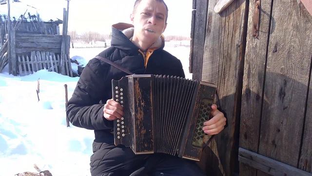 Весна. Кавер. Виктор Цой. Кино, на гармошке. смотреть онлайн