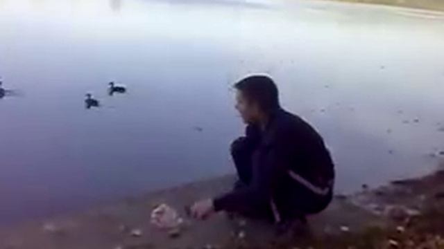 крючок и утки смотреть онлайн