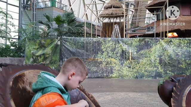Ночь в тропиках• Tropical Islands мои впечатления и ожидания• Наша комната. День Nr. 1•Vlog 02/23