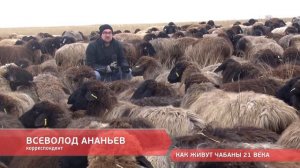 Как живут чабаны 21 века