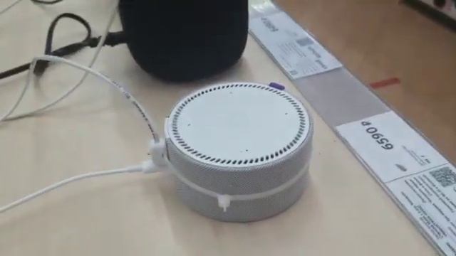Яндекс станция мини Мяукает смотреть онлайн
