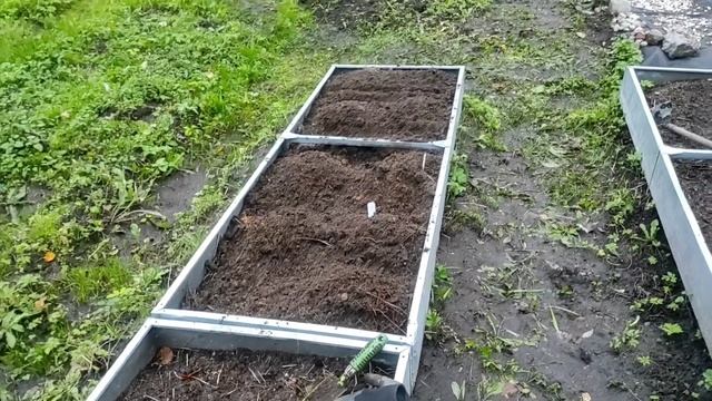 09.10.22.Дача..тюльпаны .. посадка в грядки смотреть онлайн