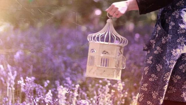 Lindsey Stirling - Song of the Caged Bird -.mp4 смотреть онлайн