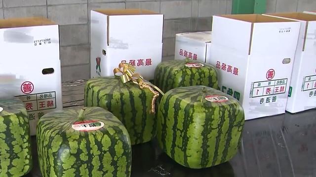 Ерекше қарбыздың түрлері