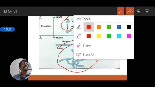 Introduction to Mycology смотреть онлайн