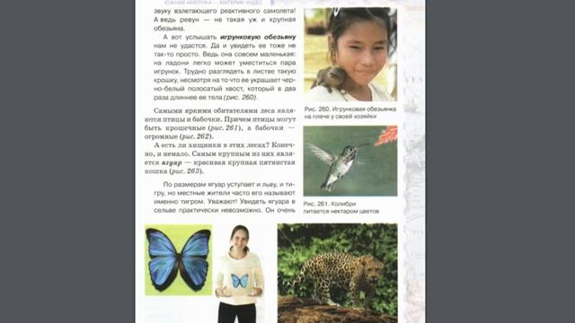 География 7к 39§ Разнообразие природы Южной Америки. смотреть онлайн