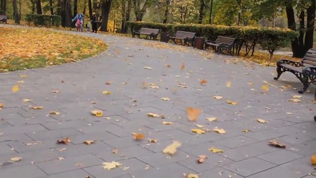 Осенью в парке смотреть онлайн