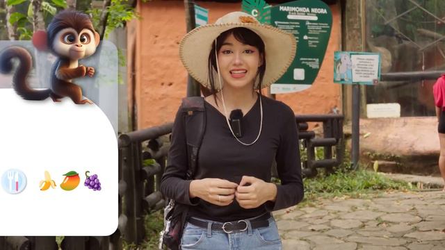 Come with me to a zoo in Colombia! - Beginner Spanish смотреть онлайн